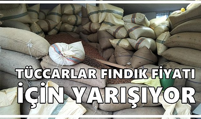 Fındıkta fiyat savaşı: Tüccarlar kendi aralarında yarışıyor