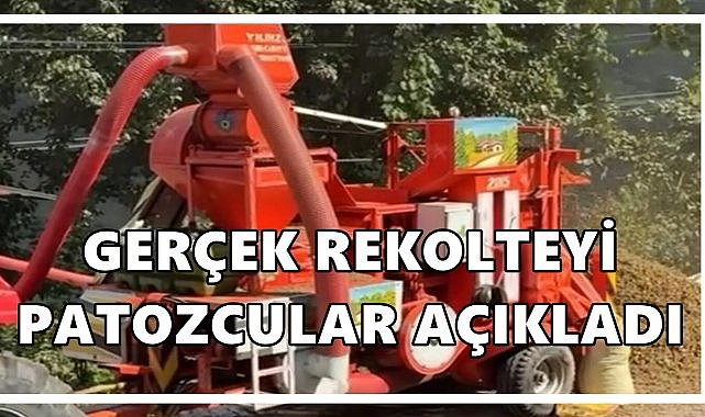 Fındıkta Gerçek Rekolteyi Patozcular Açıkladı: “Geçen Yılın Üçte Biri”