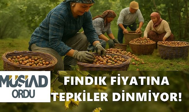 Fındıkta Hayal Kırıklığı: MÜSİAD’dan Fındık Fiyatına Sert Tepki