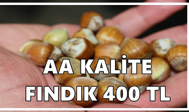 Fındıkta Kaliteyi Elek ve Çürük Oranı Belirliyor; AA Kalite Fındık 400 TL