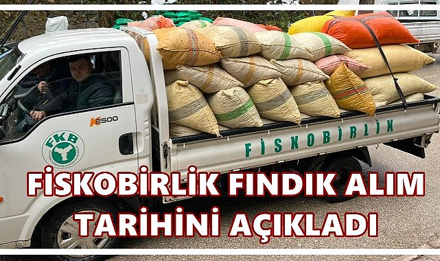 Fiskobirlik Fındık Alım Tarihini Açıkladı