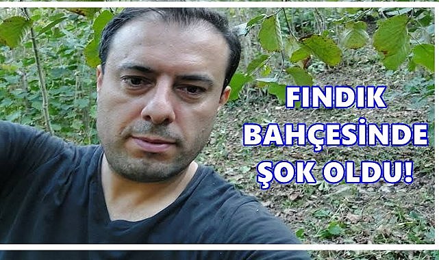 Kabataşlı Gurbetçi Eğitimcinin Fındık Bahçesinde Hayal Kırıklığı