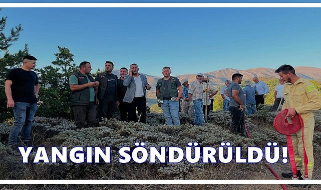 Mesudiye Bayraklı’da Orman Yangını Söndürüldü