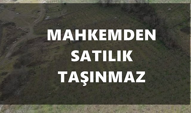 Ordu Akkuş’ta Kargir ve Ahşap Evli Taşınmaz İcradan Satışa Sunuluyor