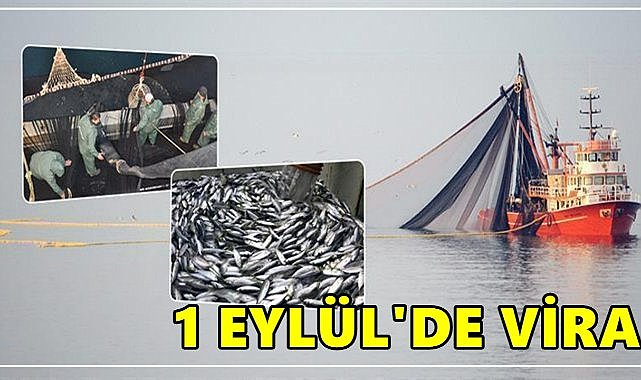 Ordu’da Balıkçılık Sezonu  1 Eylül&#039;de Başlıyor: Hangi Avlar Serbest, Hangileri Yasak?”