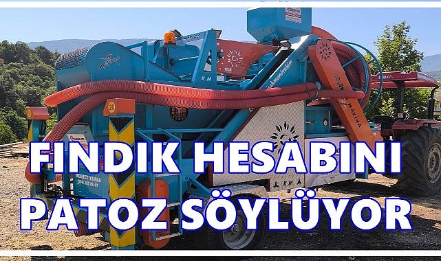 Ordu’da Fındıkta Rekolte Endişesi: “Dönümde 70 Kiloya Düştü”