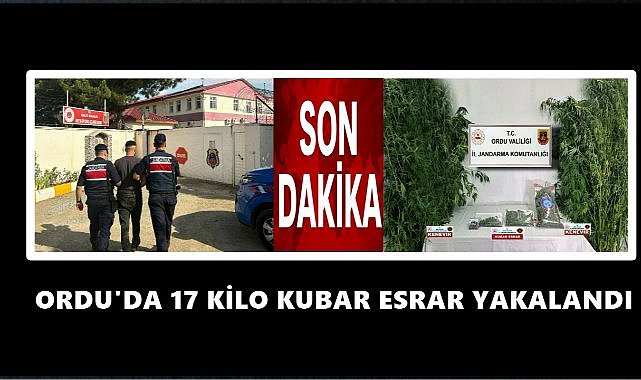 Ordu’da jandarmadan narkotik operasyon: 35 şüpheli yakalandı