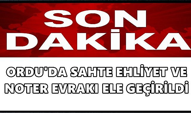 Ordu’da Sahte Ehliyet ve Noter Evrakı Ele Geçirildi