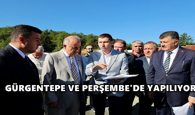 Ordu’da Sokak Hayvanları İçin Yeni Barınak ve Rehabilitasyon Alanları Kuruluyor