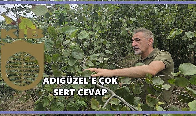 Ordu Milletvekili ile KFMİB Arasında Fındık Rekoltesi Krizi