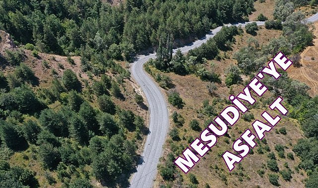 Ordu&#039;nun O İlçesinde Grup Yolu Asfaltlanıyor