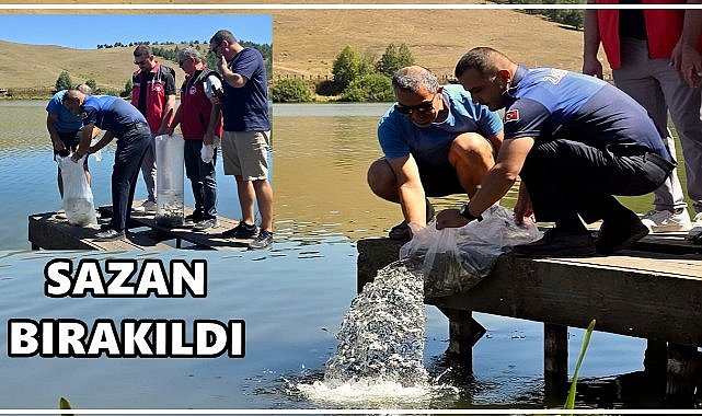 Perşembe Yaylası Göletine 14 Bin Sazan Bırakıldı