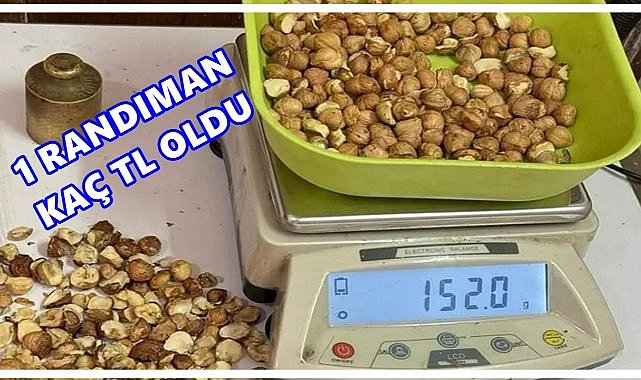 Randımana Göre Fındık Fiyatları Açıklandı