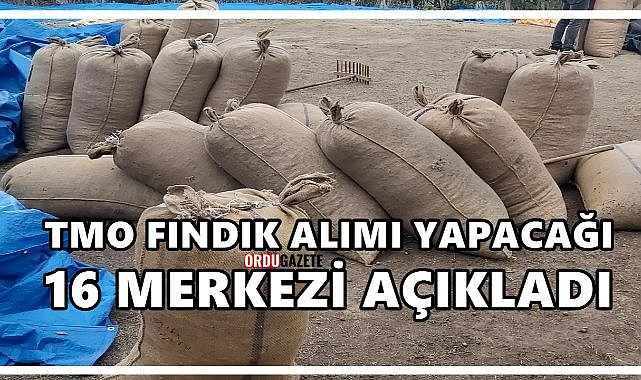 TMO 8 İlde 16 Merkezde Fındık Alımı Yapacak; İşte O İller
