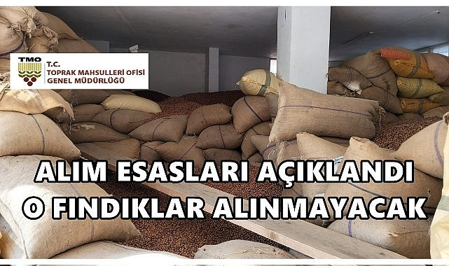 TMO Fındık Alım Esaslarını Açıkladı: O Fındıklar Alınmayacak!
