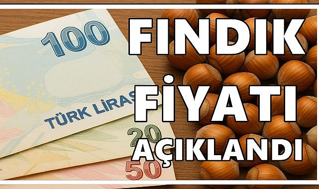 TMO Fındık Alım Fiyatlarını Açıkladı: Giresun Kalite 200, Levant Kalite 195 TL