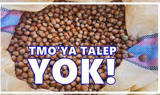 TMO&#039;nun Kapısı Boş Kaldı; Üretici Fındığını TMO&#039;ya vermiyor
