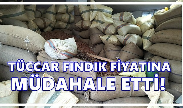 Tüccar Fındık Fiyatına Müdahale Etti