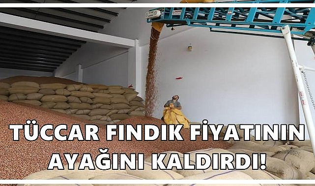 Tüccar Fındık Fiyatının Ayağını Kaldırdı