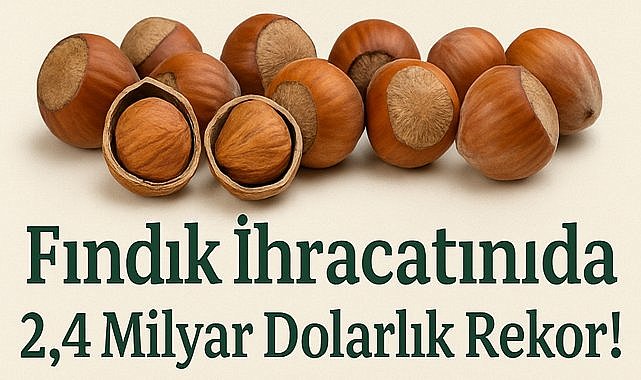   Türkiye&#039;nin Fındık İhracatı 2.4 Milyar Doları Aştı
