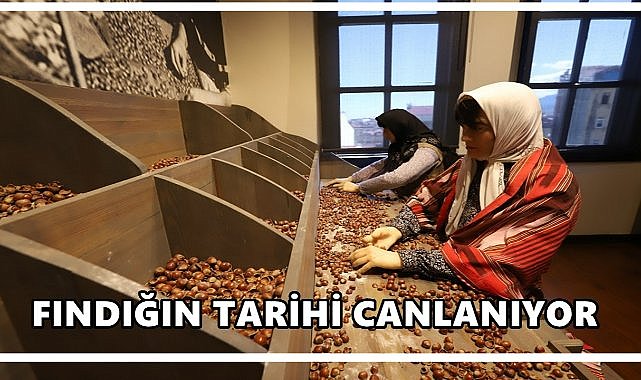 Türkiye&#039;nin İlk Fındık Müzesi: Kahraman Sağra Fındık Müzesi