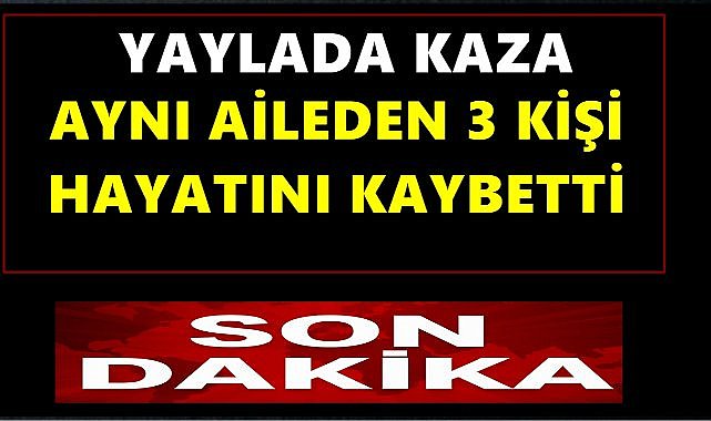 Yaylada Kaza; Aynı Aileden 3 Kişi Hayatını Kaybetti