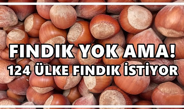 124 Ülke Türkiye&#039;den Fındık Almak İçin Sıraya Girdi;Dünya Türkiye&#039;nin Kapısını Çalıyor