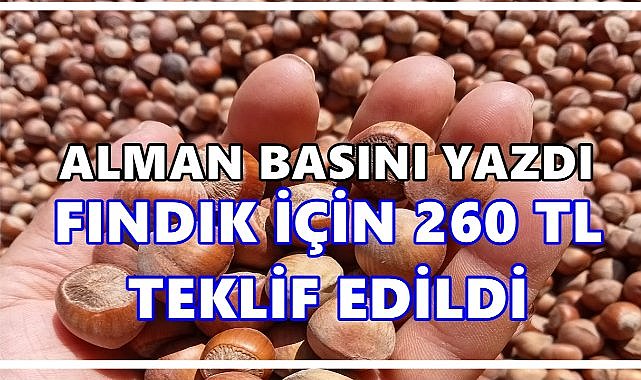 Alman Basını Yazdı; Türk Fındığı İçin 260 TL Teklif Edildi