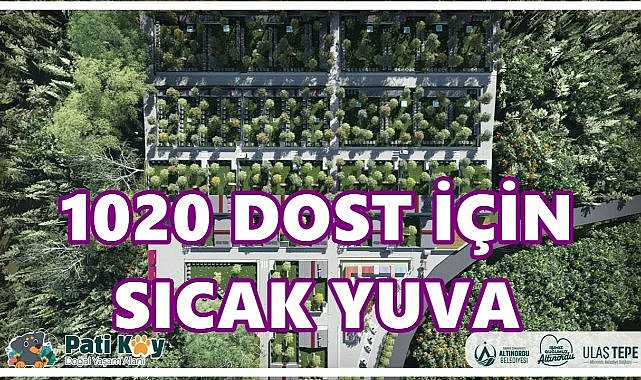 Altınordu’ya 1020 Patili Dost İçin Doğal Yaşam Alanı: Pati Köy