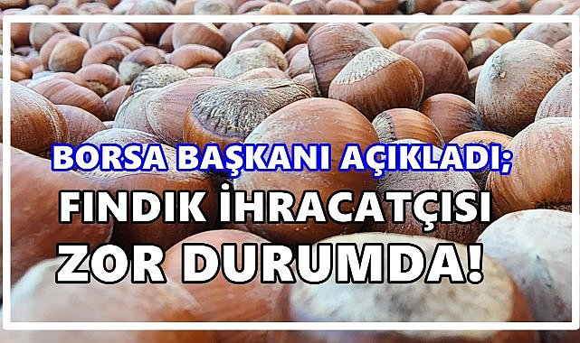 Borsa Başkanı; Fındıkta Rekolte Düştü İhracatçı Zor Durumda !