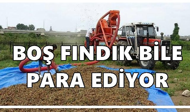 Boş Fındık Bile Para Ediyor