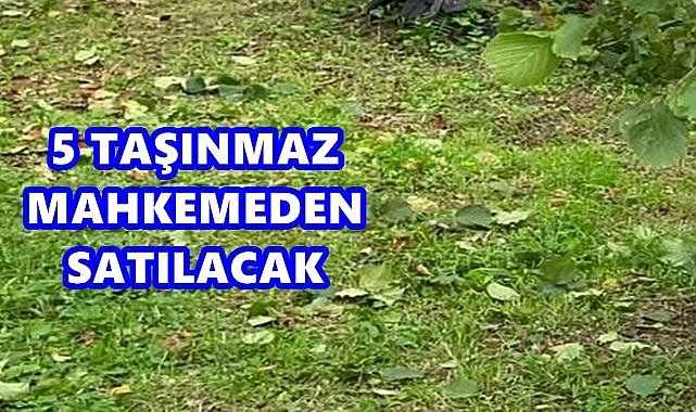 Fatsa’da 5 Taşınmaz Satışa Çıkarılıyor