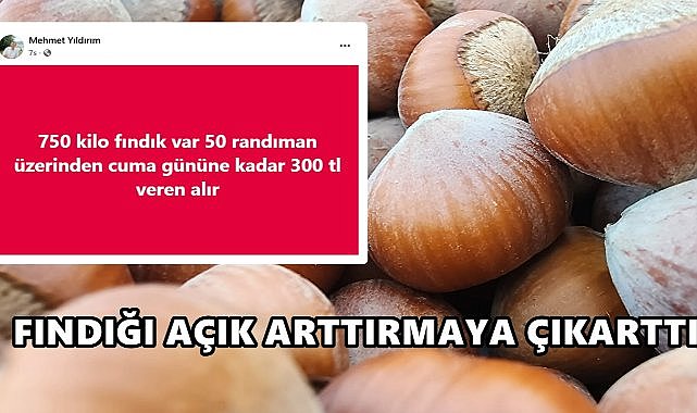  Fındığı Sosyal Medyada Açık Arttırmayla Satışa Çıkarttı