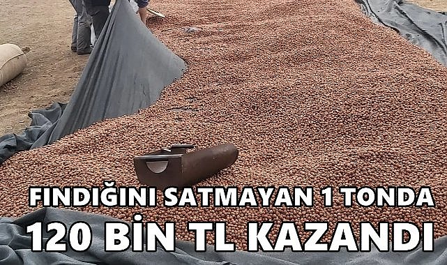 Fındığını Satmayan 1 Tonda 120 Bin TL Kazandı