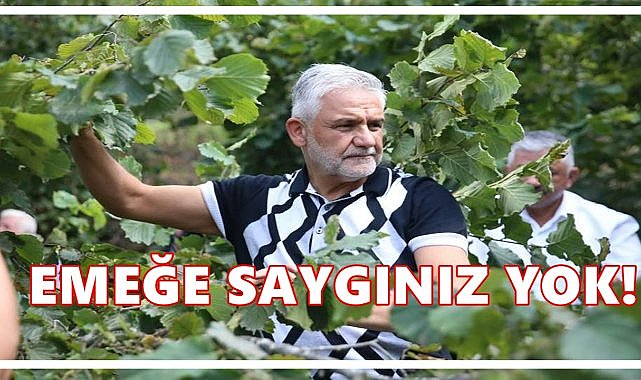 Fındık 280 TL Oldu, Üreticiye 110 TL’den Sattırdınız