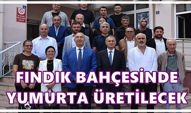 Fındık Bahçesinde Yumurta Üretilecek