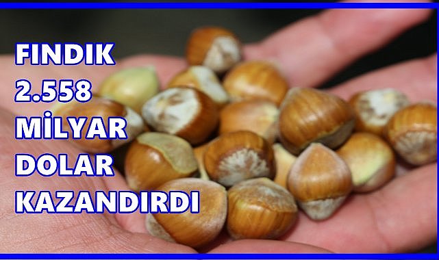 Fındık  Bir Sezonunda 2,56 Milyar Dolar Kazandırdı