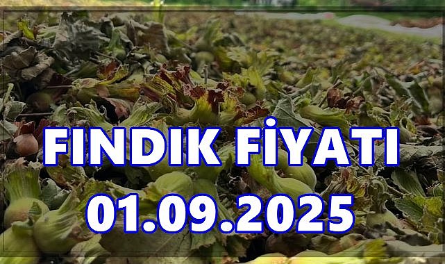 Fındık Fiyatı 1 Eylül 2025 Pazartesi