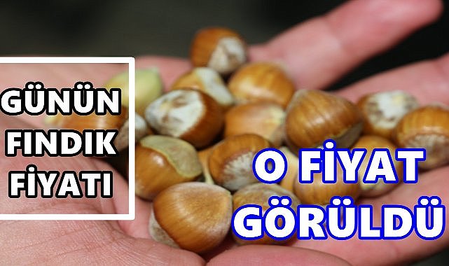 Fındık Fiyatı 11 Eylül 2025 Perşembe