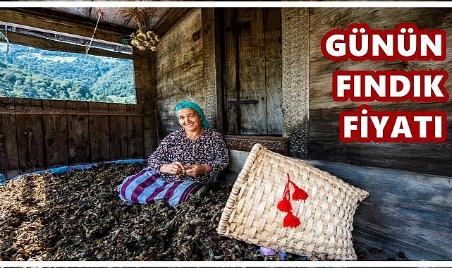 Fındık Fiyatı 12 Eylül 2025 Cuma