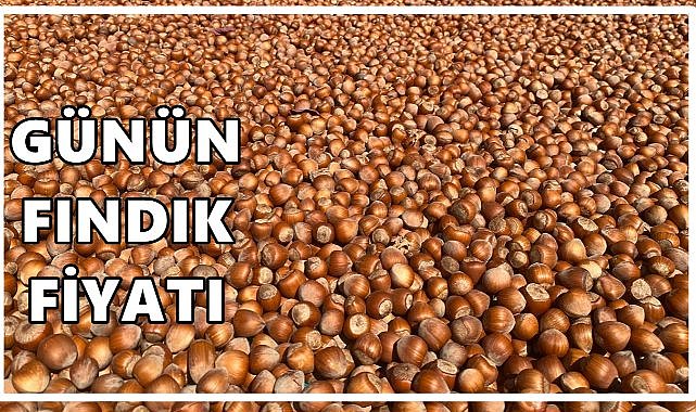Fındık Fiyatı 19 Eylül 2025 Cuma