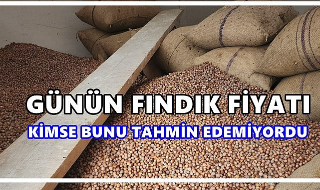 Fındık Fiyatı 2 Eylül 2025 Salı