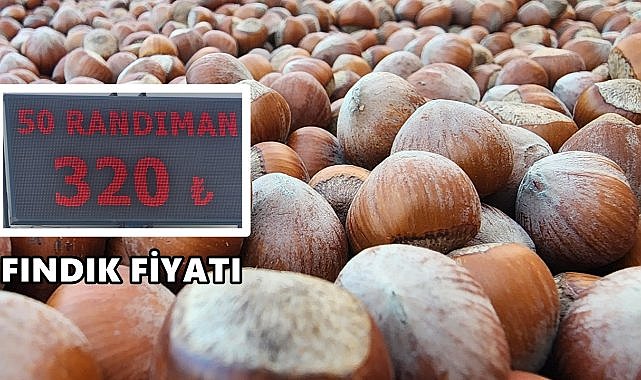 Fındık Fiyatı 21 Eylül 2025 Pazar