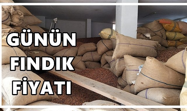 Fındık Fiyatı 23 Eylül 2025 Salı