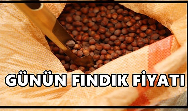 Fındık Fiyatı 24 Eylül 2025 Çarşamba