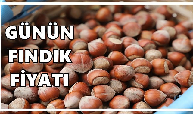 Fındık Fiyatı 25 Eylül 2025 Perşembe