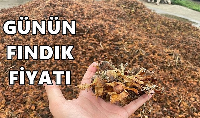 Fındık Fiyatı 27 Eylül 2025 Cumartesi