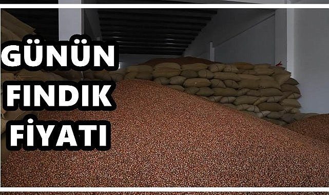 Fındık Fiyatı 29 Eylül 2025 Pazartesi