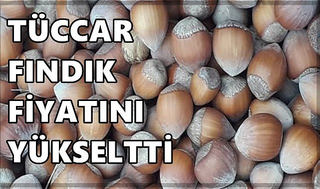 Fındık Fiyatı 3 Eylül 2025 Çarşamba