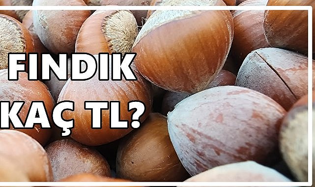 Fındık Fiyatı 30 Eylül 2025 Salı
